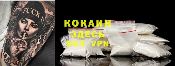 твердый Магас