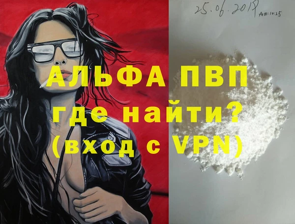 твердый Магас