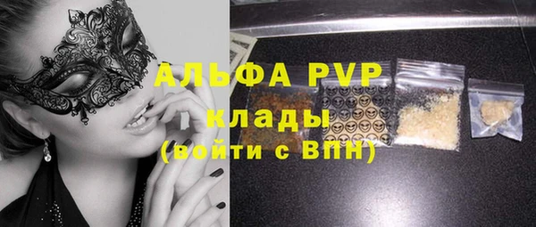 твердый Магас