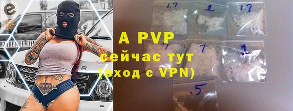 твердый Магас