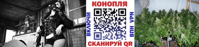 МАРИХУАНА конопля  Чухлома 